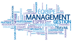 coaching dirigeant,management, coaching d'équipe,manager, vision ,